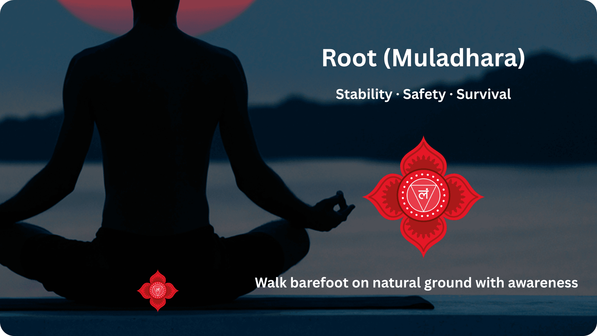 Root Healing Photo Fulfilling Path